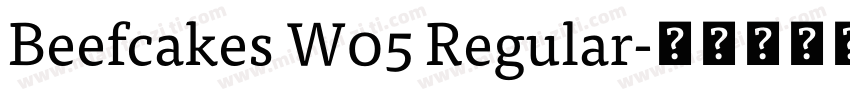 Beefcakes W05 Regular字体转换